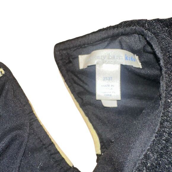 Pottery Barn Kids bumblebee black and yellow costume size 2T-3T - Picture 3 of 4